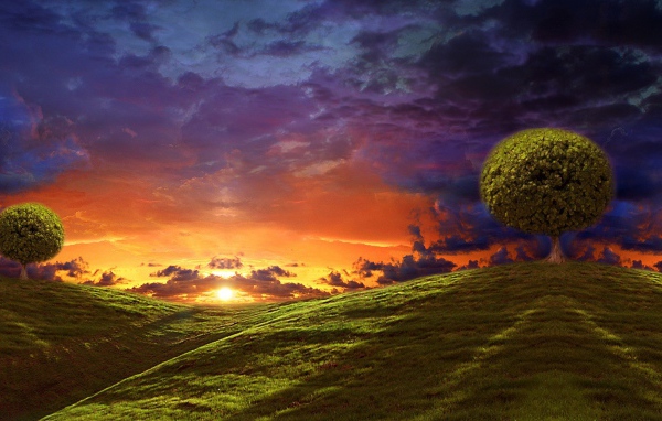 Круглые кроны деревьев на вершинах холмов