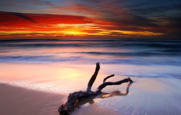 Коряга на белом песке пляжа на закате