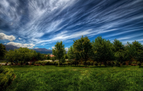 Летние облака над садом