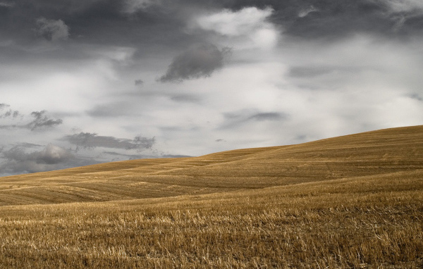 Темное небо над скошенным полем