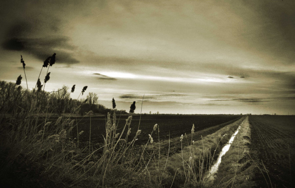 Оросительный канал