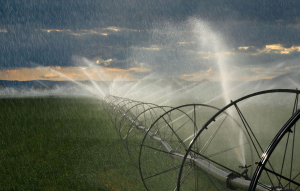 Орошение на полях