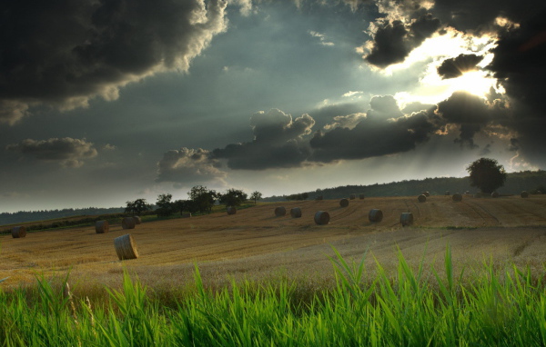 Грозовые тучи над полем