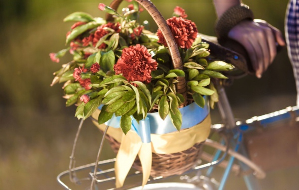 Корзина цветов на багажнике велосипеда