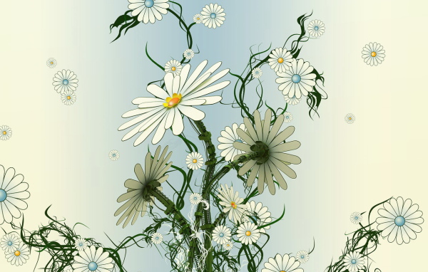 Вьющиеся ромашки