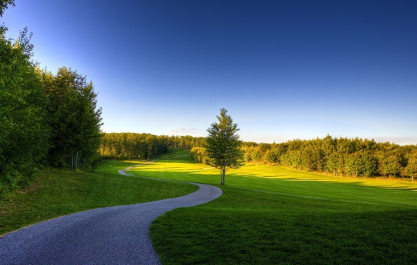 Извилистая дорожка в лесу