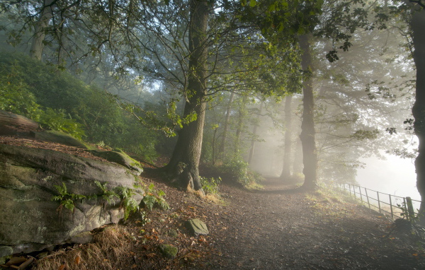 Дорога в горном парке