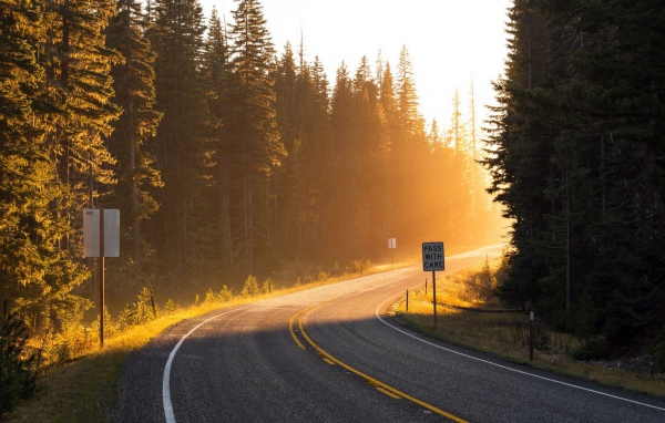 Поворот на лесной дороге