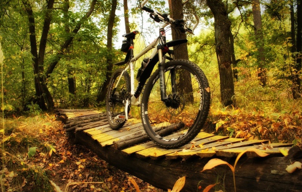 Прогулочный велосипед в лесу