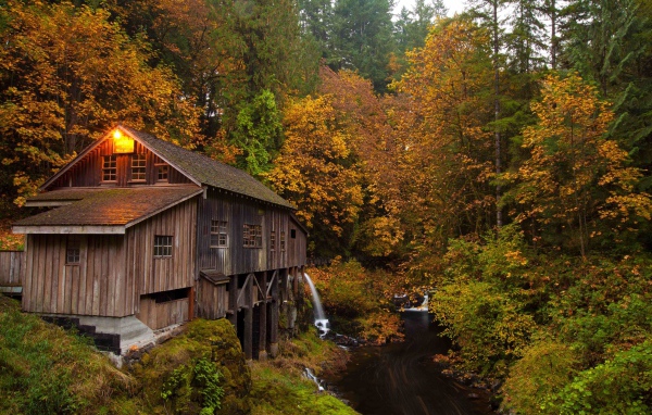 Деревянный дом над речушкой в лесу