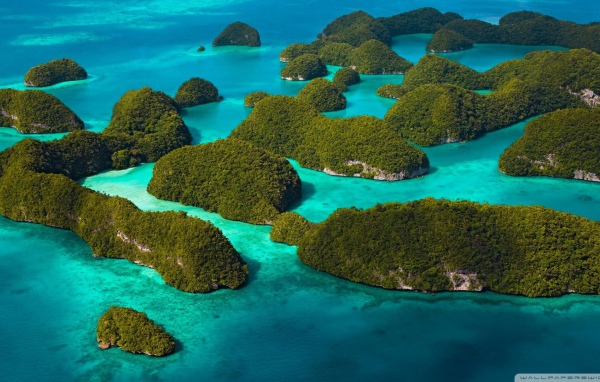 Покрытые лесом острова среди голубой воды