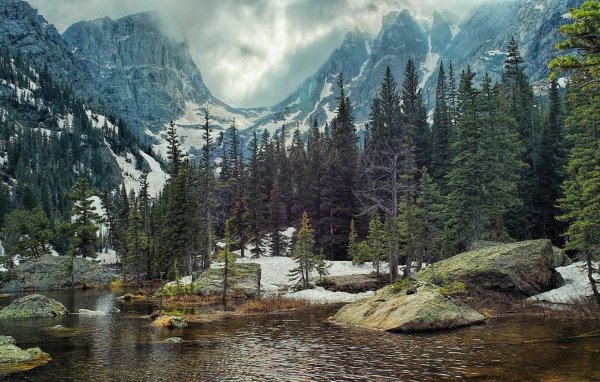 Хвойные деревья у реки в горах