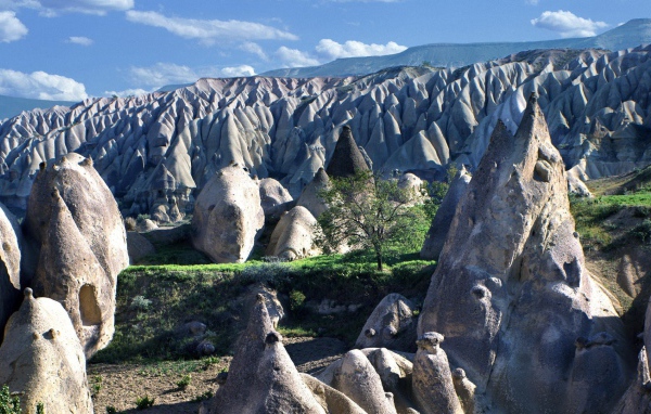 Поле конусо подобных скал в горах