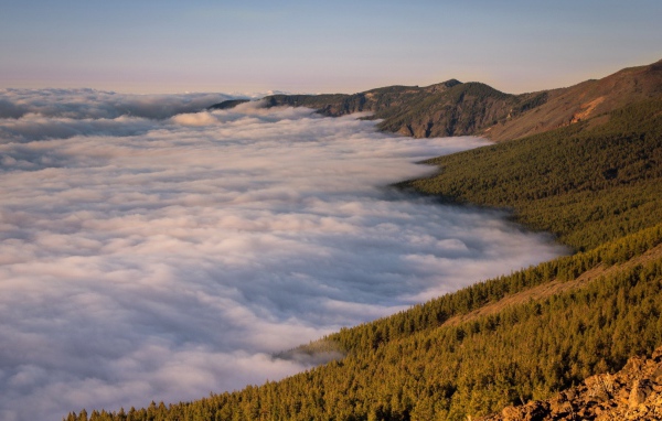 Туман в долине