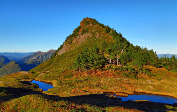 Гора заросшая деревьями