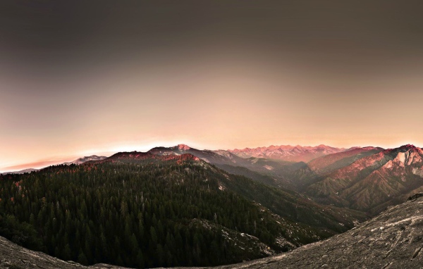 Поросшее хвойным лесом плоскогорье