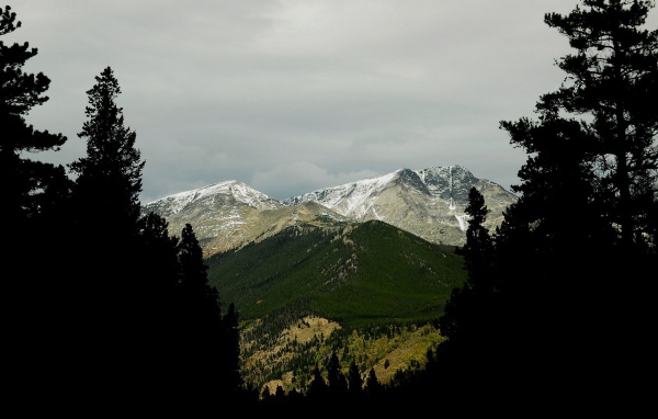 Фото гор среди деревьев