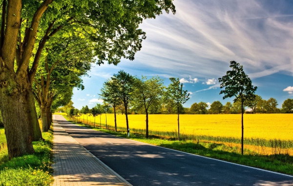 Аккуратная дорога по краю желтого поля