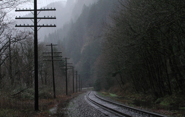 Железная дорога среди мрачного леса