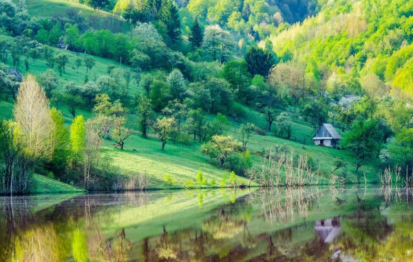 Зеленые склоны гор у озера