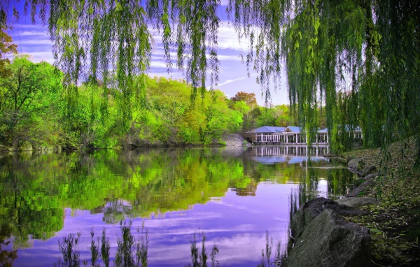 Дом отдыха у озера в лесу