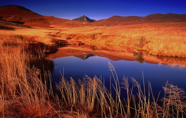 Озерцо с дождевой водой