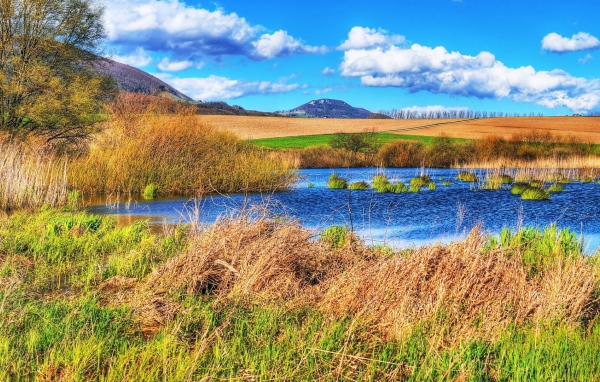 Болотистое место среди полей