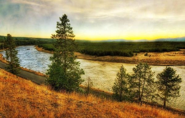 Река в тайге