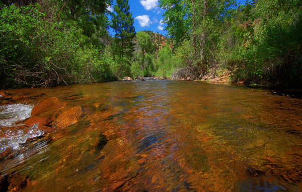 Прозрачная река в горах