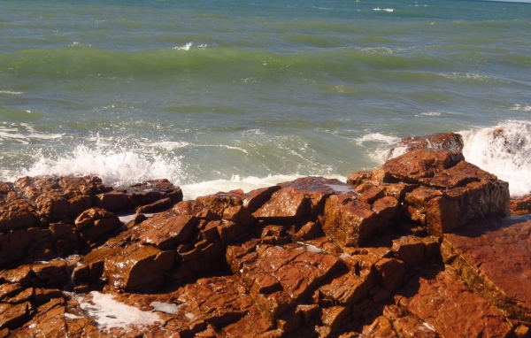 Коричневые камни на берегу моря