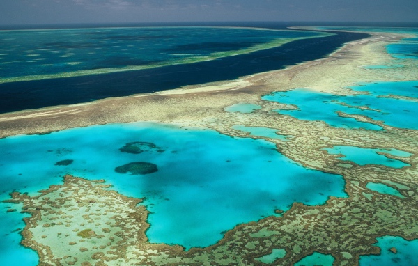 Коралловые рифы в океане