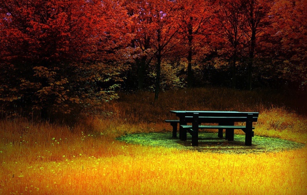 A cozy place in the autumn park