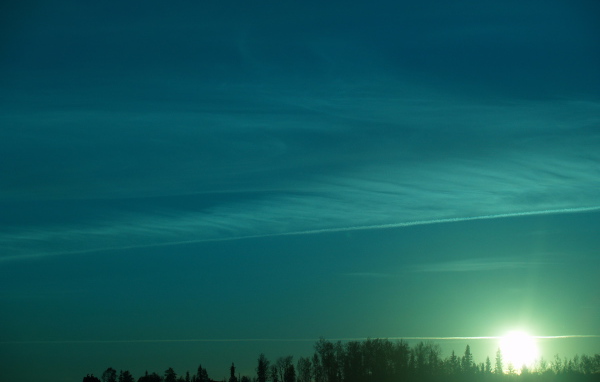 Зеленый закат над лесом