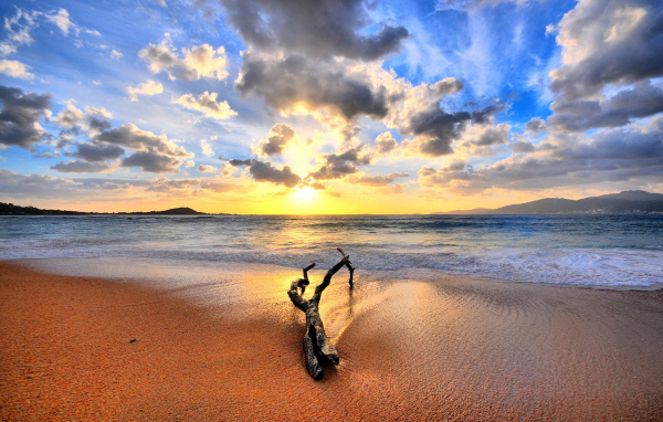 Закат на пляже с веткой