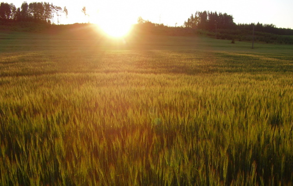 Солнце заходит за холм