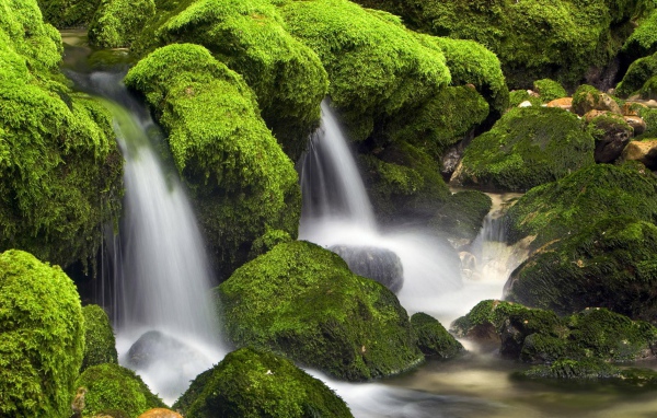 Вода стекает вниз среди поросших мхом камней