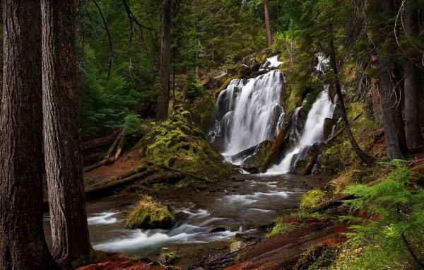 Водопад, скрытый в чаще леса