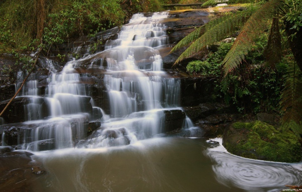 Водопад на черной скале в лесу