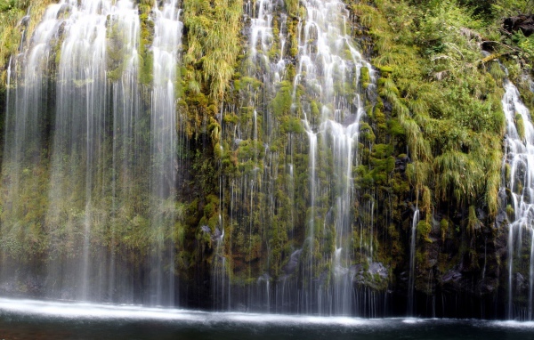 Водопад по зеленым зарослям