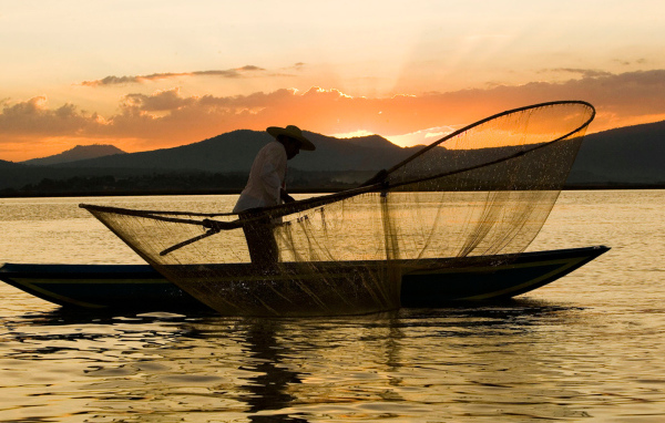 Рыбак закидывает сеть