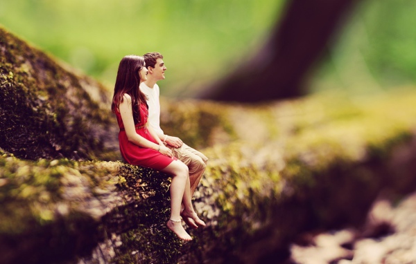 Маленькие люди на большом дереве