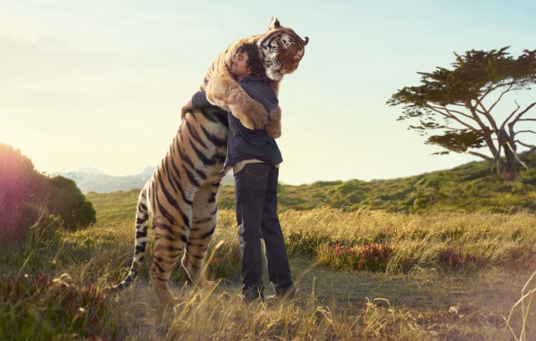 Человек обнимается с тигром