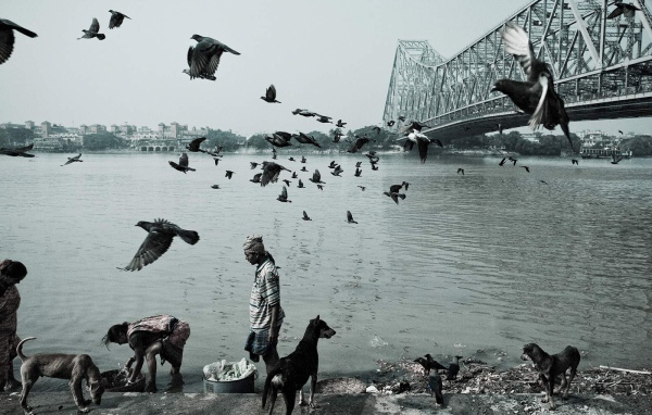 Жизнь людей и животных