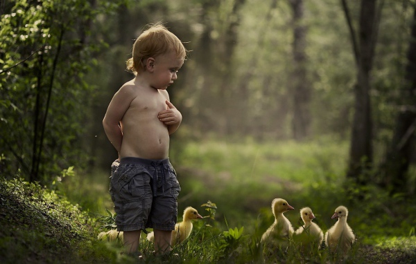 Мальчик гуляет среди утят
