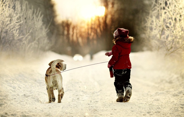 Девочка ведет собаку на поводке на прогулку