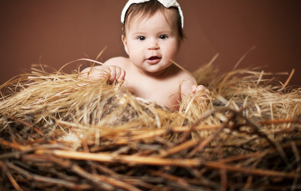 Малыш в гнезде из сена