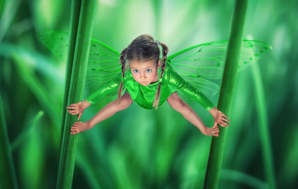 Маленькая зеленая фея