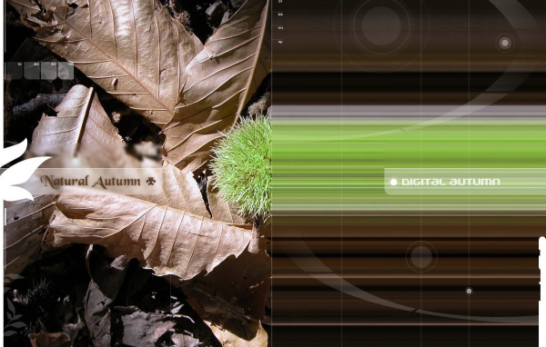 Природная и цифровая осень