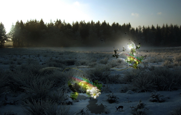 Цветы на зимнем пейзаже