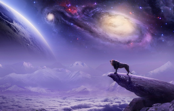 Лев на фоне галактики